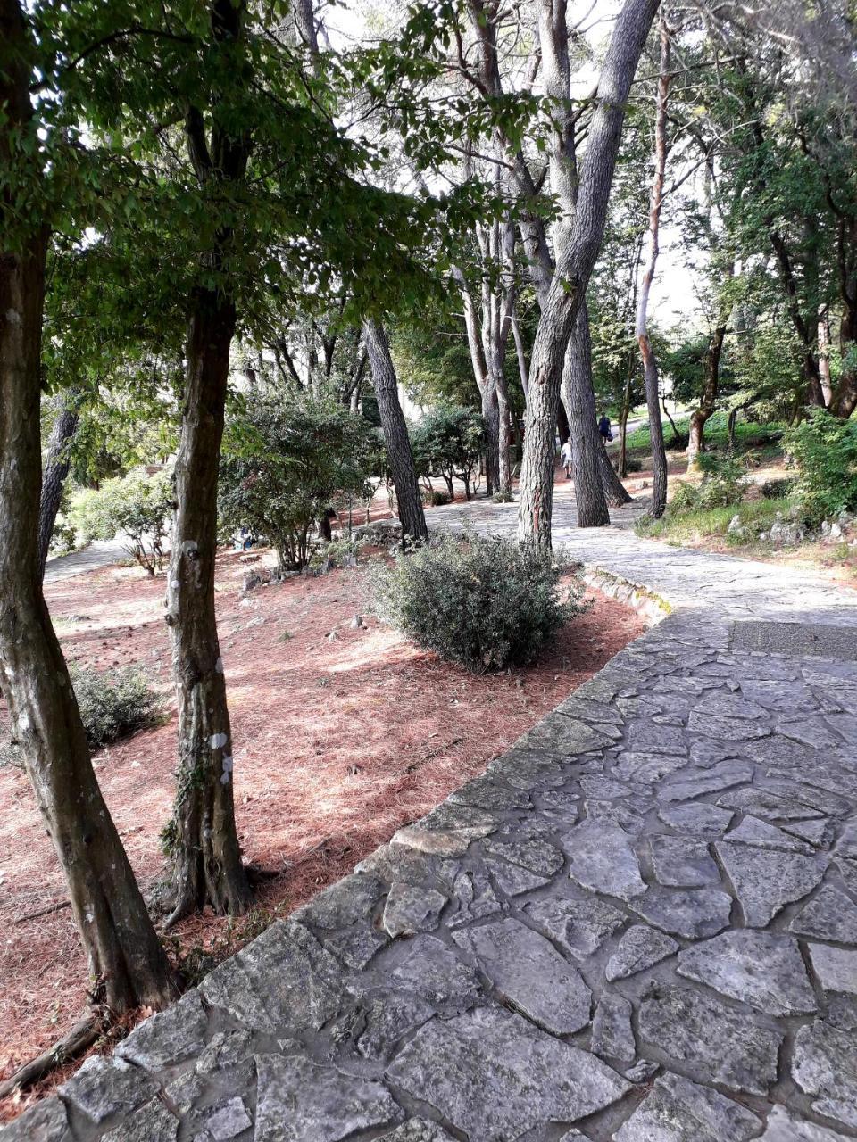 Apartments And Rooms Haludovo - Ribarsko Selo Malinska Kültér fotó